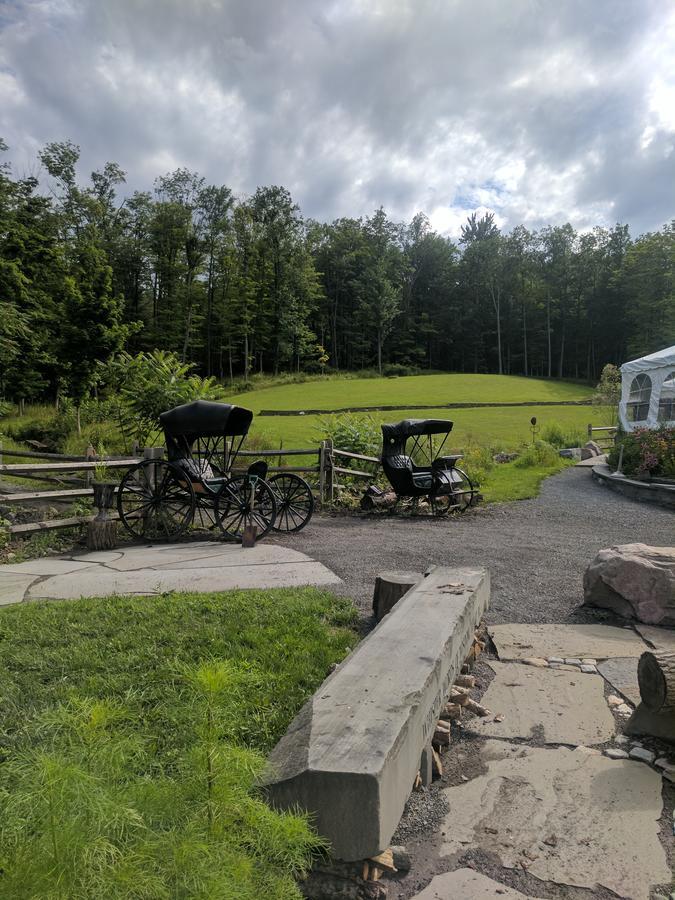 New Park Retreat Hotel Ithaca Esterno foto